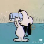 snoopy ☺️