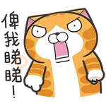 白爛貓☆第３７彈☆