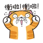白爛貓☆第３７彈☆