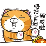 白爛貓☆第３７彈☆