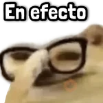 ✅ Stickers sin Filtro #➐