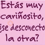 👩🏻‍💻💭 Frases | Textos 3 👨🏻‍💻💭