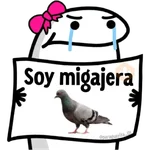 🌈 Flork Frases 4 🧦