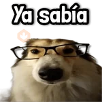 ☕ Stickers sin Filtro #➒ ☕
