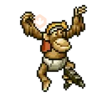Metal Slug
