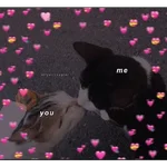 stikers de amor acá bien vrgas