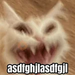Memes de gatos 🐱😂