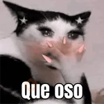 Memes de gatos 🐱😂