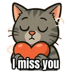 My cat memes 😂🐈