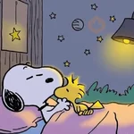 🫐Snoopy Aesthetic🫐