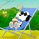 🫐Snoopy Aesthetic🫐