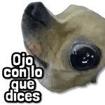 🎯 Stickers sin Filtro #➊⓿ 🎯