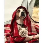 Karamba que Frio é esse 