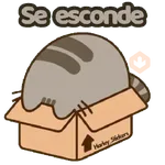 🧋🩷Phuseen Frases🩷🧋