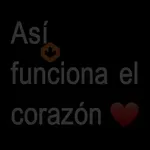 No puedo tengo novio|Cuellar