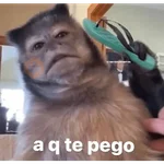 🔝Más Reacciones #➊➑ 🔝