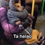 Frío ✨🥶MEMES 2