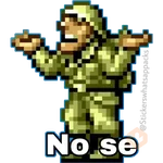 metal slug