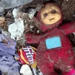😶‍🌫️tinky winky😶‍🌫️memes✨