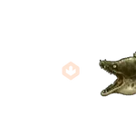 metal slug