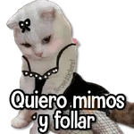 Amor Memes 2❤️🔥💖