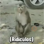 Monos graciosos contestones 🐒