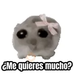 🎬 Memes en movimiento 😂