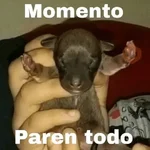 Reacciones Random 😭