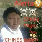 Shit post | memes