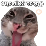 Michis caóticos ⚡😼⚡