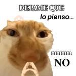 Michis caóticos ⚡😼⚡