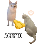 Michis caóticos ⚡😼⚡