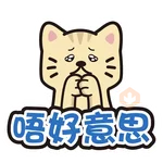 PETTRERMOMO
