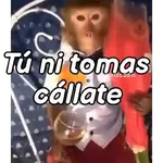 Monos groseros pal chat 🐒🐵