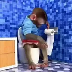 🐒 Monos Random 🇲🇽 🐒