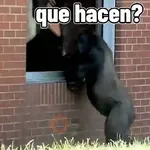 monos🙊