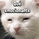 FuNnY MeMes con texto ✨