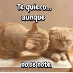 FuNnY MeMes con texto ✨