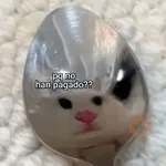 🥭💥 Variados PAL GRUPO 😎🌍