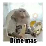 Frases estilo mono 🙈🙉