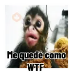 Frases estilo mono 🙈🙉