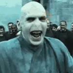 GIFs Harry Potter