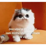 Vamos de sapecagens