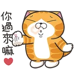 白爛貓☆第３９彈☆