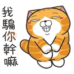 白爛貓☆第３９彈☆