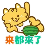 Halume花月芽之日常