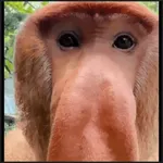 🙈•MONOS•🐒