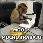 🙈•MONOS•🐒
