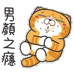 白爛貓☆第４０彈☆