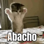 Memes - gatos bebes 🐱💕😂
